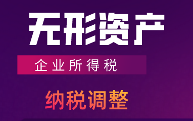 企業(yè)所得稅匯算清繳中無(wú)形資產(chǎn)的納稅調(diào)整