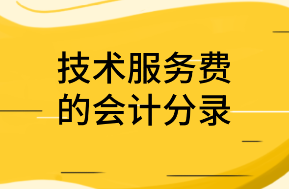 企業(yè)支付技術(shù)服務(wù)費(fèi)應(yīng)該怎么做會(huì)計(jì)分錄？