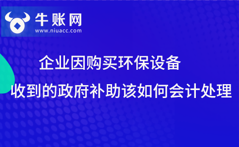 企業(yè)因購(gòu)買(mǎi)環(huán)保設(shè)備收到政府補(bǔ)助該如何進(jìn)行會(huì)計(jì)處理？