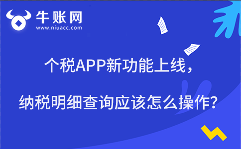 個稅APP新功能上線，納稅明細(xì)查詢應(yīng)該怎么操作？