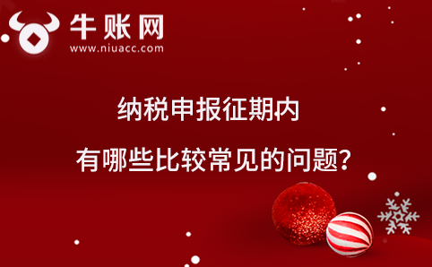 納稅申報(bào)征期內(nèi)有哪些比較常見的問題？