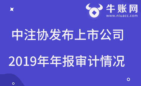 中注協(xié)發(fā)布上市公司2019年年報審計情況快報（第三期）