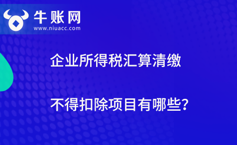 企業(yè)所得稅匯算清繳不得扣除項目有哪些？