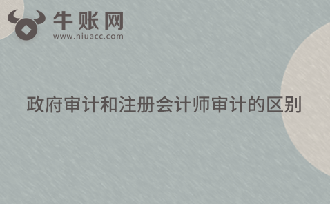 政府審計(jì)和注冊會計(jì)師審計(jì)的區(qū)別