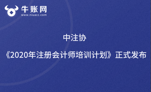 中注協(xié)《2020年注冊(cè)會(huì)計(jì)師培訓(xùn)計(jì)劃》正式發(fā)布