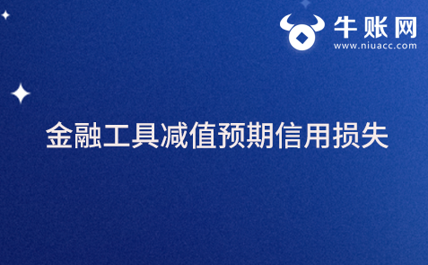 什么是金融工具減值預(yù)期信用損失？