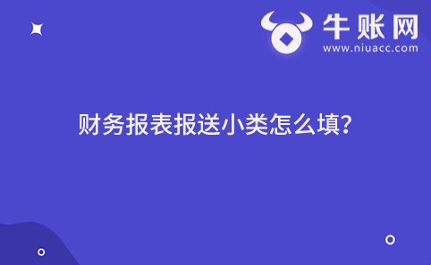 財(cái)務(wù)報(bào)表報(bào)送小類怎么填？