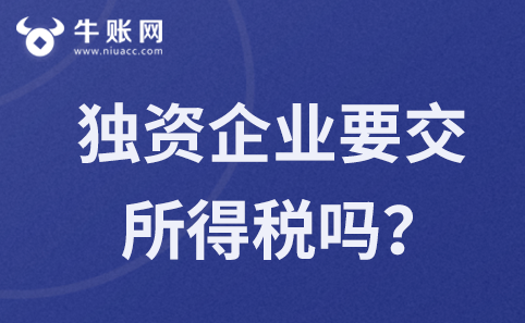 個(gè)人獨(dú)資企業(yè)需要繳納企業(yè)所得稅嗎？
