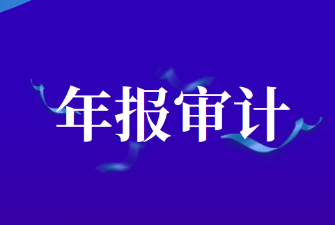 上市公司2019年年報審計情況快報（第九期）