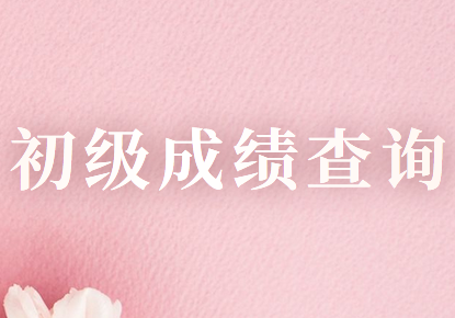 2020年吉林省初級會計職稱考試成績查詢