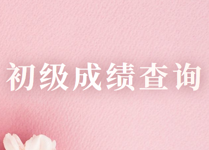 上海市2020年初級(jí)會(huì)計(jì)職稱考試成績(jī)查詢