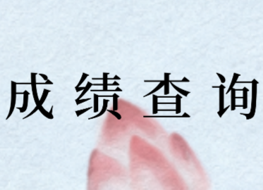 2020年湖北稅務(wù)師考試成績(jī)查詢?nèi)肟? width=