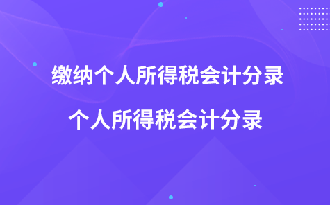 繳納個人所得稅會計分錄-個人所得稅會計分錄