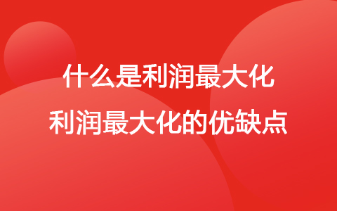 什么是利潤(rùn)最大化 利潤(rùn)最大化的優(yōu)缺點(diǎn)
