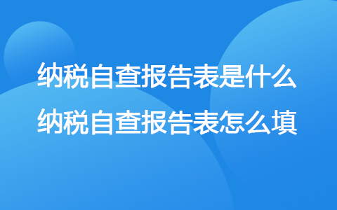 納稅自查報告表是什么 納稅自查報告表怎么填