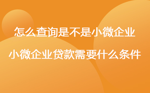 怎么查詢是不是小微企業(yè) 小微企業(yè)貸款需要什么條件