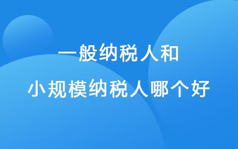 一般納稅人和小規(guī)模納稅人哪個(gè)好