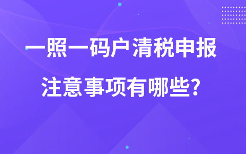 一照一碼戶清稅申報(bào)注意事項(xiàng)有哪些?