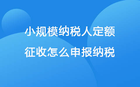 小規(guī)模納稅人定額征收怎么申報(bào)納稅
