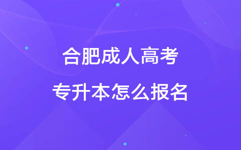 合肥成人高考專升本怎么報名