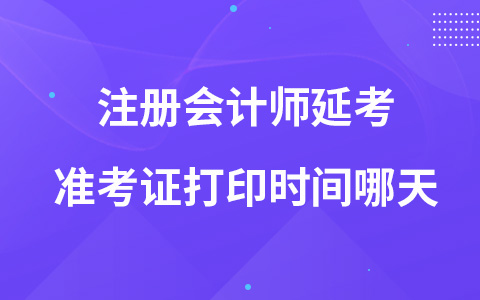 注冊會計師延考準考證打印時間哪天