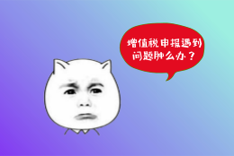 增值稅申報輕松搞定這個問題