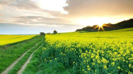 房地產(chǎn)開發(fā)企業(yè)土地增值稅會計分錄如何編制？