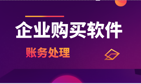 一般納稅人企業(yè)購買軟件的財(cái)務(wù)處理是怎樣的？