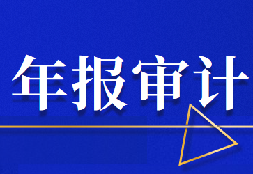 上市公司2019年年報(bào)審計(jì)情況快報(bào)（第十期）