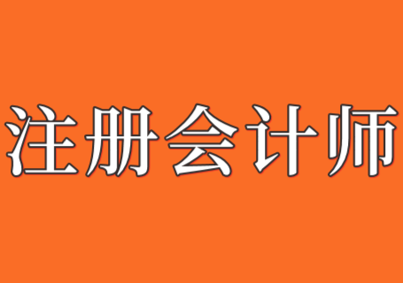 加強(qiáng)會(huì)計(jì)師事務(wù)所執(zhí)業(yè)管理切實(shí)提高審計(jì)質(zhì)量