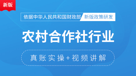 農村合作社行業(yè)會計真賬實操