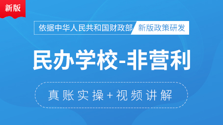 民辦學(xué)校（非營(yíng)利性）會(huì)計(jì)真賬實(shí)操