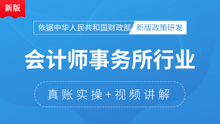 會計師事務(wù)所真賬實操
