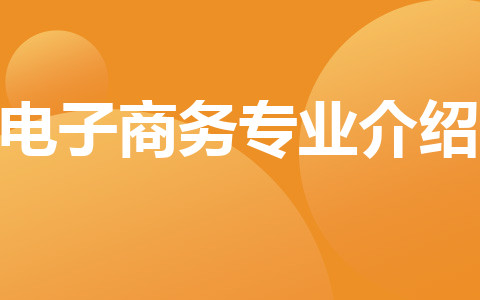 電子商務(wù)專業(yè)介紹
