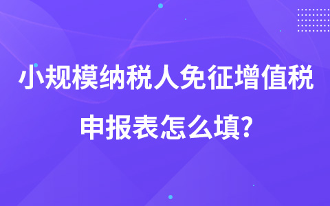 小規(guī)模納稅人免征增值稅申報表怎么填?