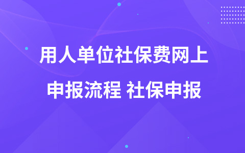 用人單位社保費(fèi)網(wǎng)上申報(bào)流程 社保申報(bào)