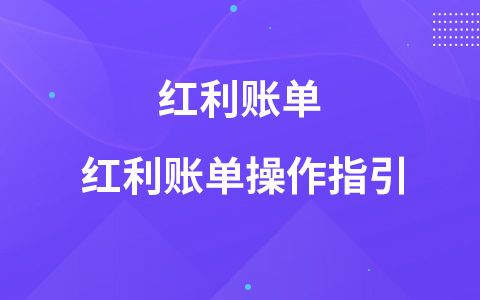 紅利賬單 紅利賬單操作指引