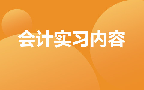 會計實習內容