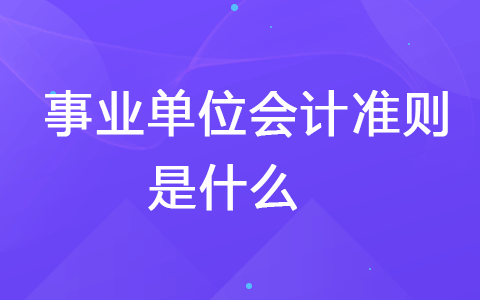 事業(yè)單位會計準(zhǔn)則是什么