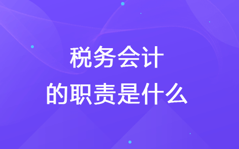 稅務會計的職責是什么