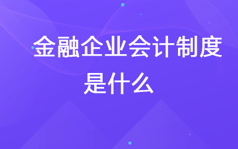 金融企業(yè)會計制度是什么