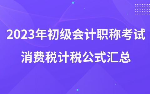 2023年初級會計職稱考試消費稅計稅公式匯總