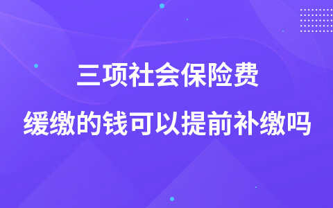 三項(xiàng)社會(huì)保險(xiǎn)費(fèi)緩繳的錢可以提前補(bǔ)繳嗎