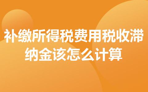 補繳所得稅費用稅收滯納金該怎么計算