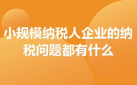 小規(guī)模納稅人企業(yè)的納稅問題都有什么