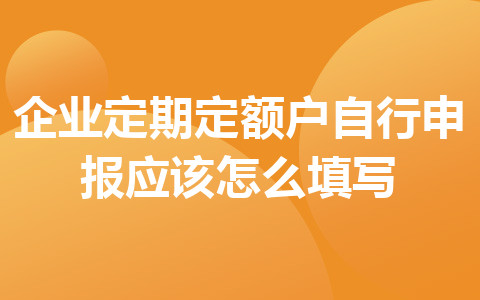 企業(yè)定期定額戶自行申報(bào)應(yīng)該怎么填寫