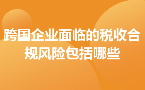 跨國企業(yè)面臨的稅收合規(guī)風(fēng)險(xiǎn)包括哪些